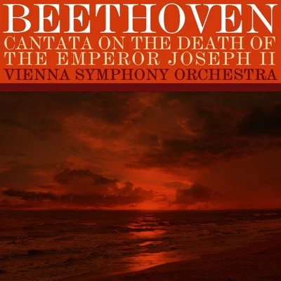 Vienna Symphony Orchestra/Clemens Krauss Cantata On The Death Of The Emperor Joseph II