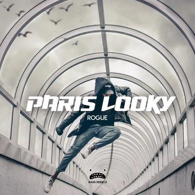 Paris Looky Rogue