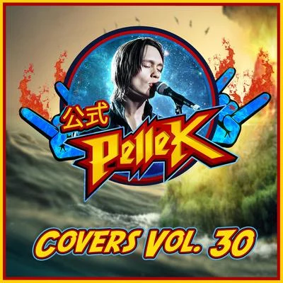 PelleK Covers, Vol. 30