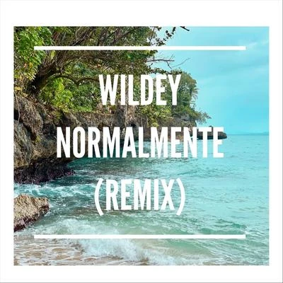 Wildey Normalmente (Remix)