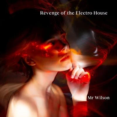 Mr. Wilson Revenge of the Electro House