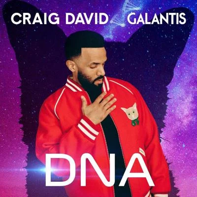 Craig David/Galantis DNA