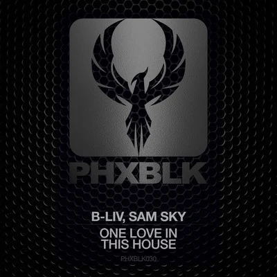 B-Liv/Sam Sky One Love In This House