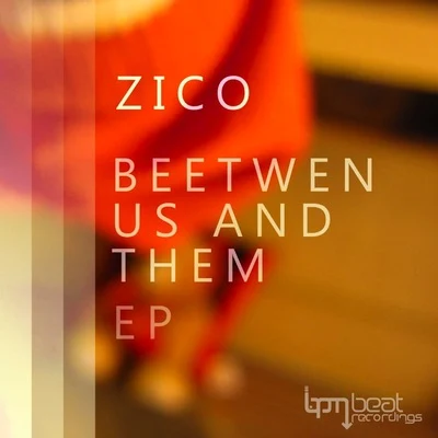 ZICO Beetwen Us and Them