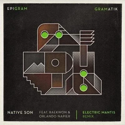 Electric Mantis Native Son (Electric Mantis Remix)