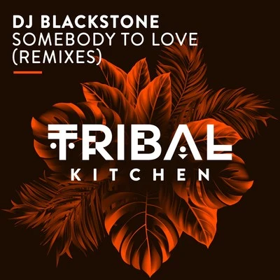 DJ Blackstone Somebody to Love (Remixes)