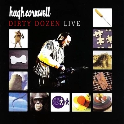 Hugh Cornwell Dirty Dozen (Live)