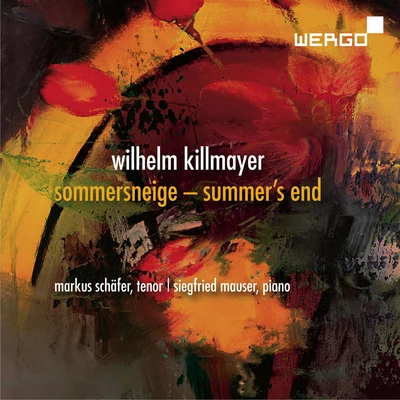 Markus Schäfer Killmayer: Sommersneige - Summer’s End