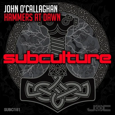 John O&#x27;Callaghan Hammers at Dawn