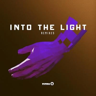 Denzal Park Into the Light (Remixes)