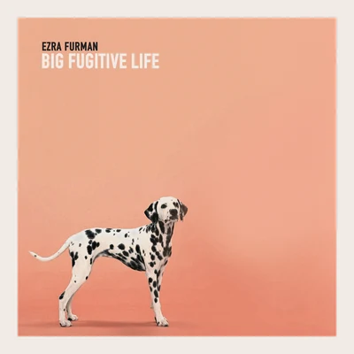 Ezra Furman Big Fugitive Life