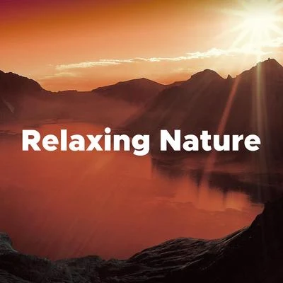 Classical Music Songs Relaxing Nature: Music to Sleep to