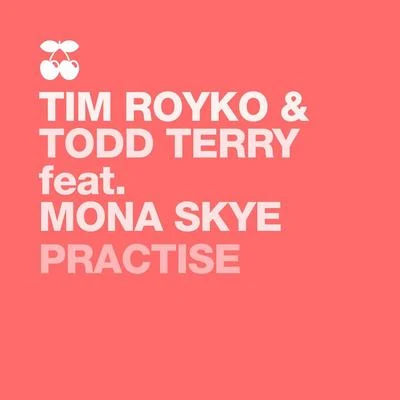 Todd Terry/Tim Royko Practise