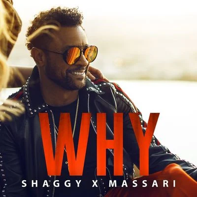 Massari/Shaggy Why