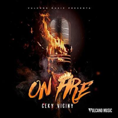 Ceky Viciny On Fire