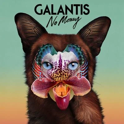 Galantis No Money