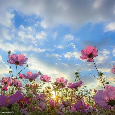 吾恩 花之歌