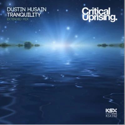 Dustin Husain Tranquility