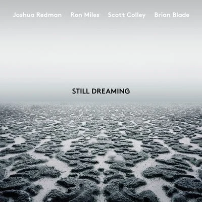 Joshua Redman Still Dreaming (feat. Ron Miles, Scott Colley & Brian Blade)