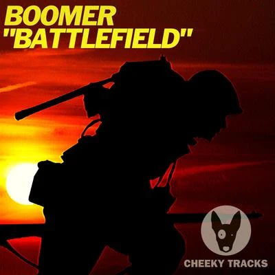 Boomer Battlefield