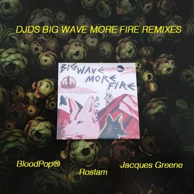 DJDS Big Wave More Fire (Remixes)