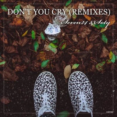 Seven24/SOTY Dont You Cry (Remixes)