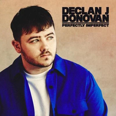 Declan J Donovan Perfectly Imperfect