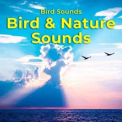 Bird Sounds Bird & Nature Sounds