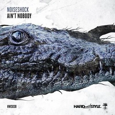 Noiseshock Aint Nobody