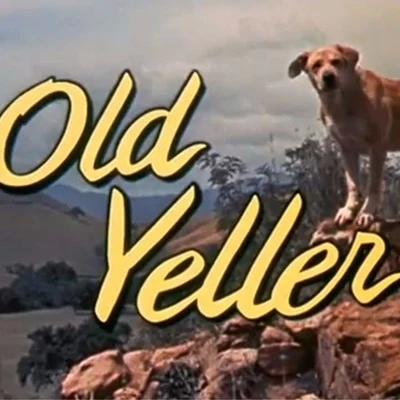 joji old yeller