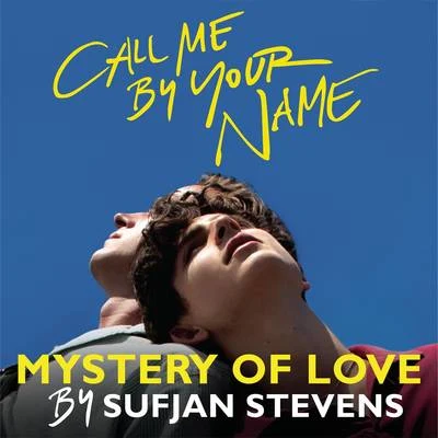 Sufjan Stevens Mystery of Love