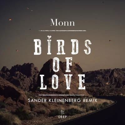 Sander Kleinenberg Birds Of Love (Sander Kleinenberg Remix)