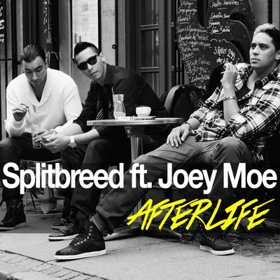 Splitbreed Afterlife