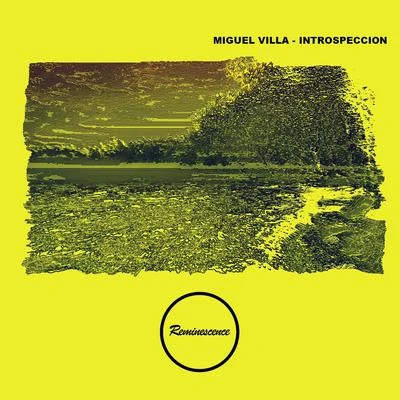 Miguel Villa Introspección