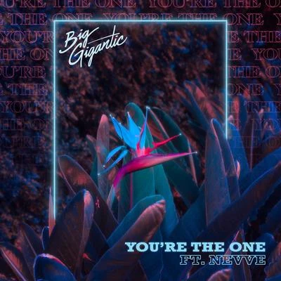 Big Gigantic You’re The One