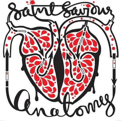 Saint Saviour Anatomy