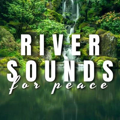 Ocean Waves for Sleep/Calming Waves/Ocean Sounds River Sounds for Peace