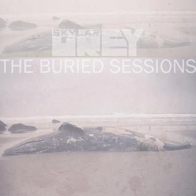 Skylar Grey The Buried Sessions of Skylar Grey