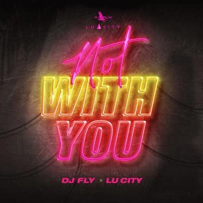 Lu City/DJ Fly Not with You