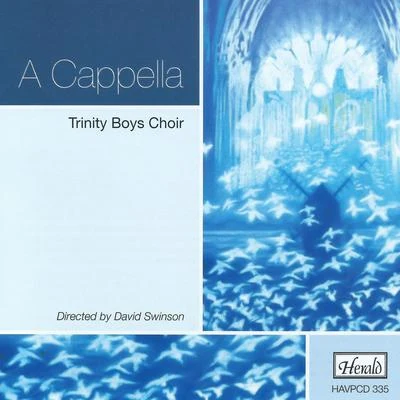 Trinity Boys Choir/David Swinson A Cappella