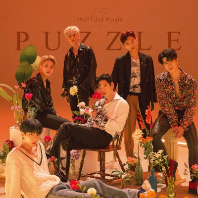 IN2IT PUZZLE