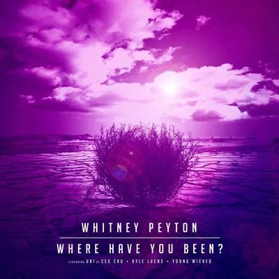 Whitney Peyton Where Have You Been?