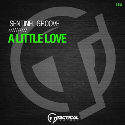 Sentinel Groove A Little Love