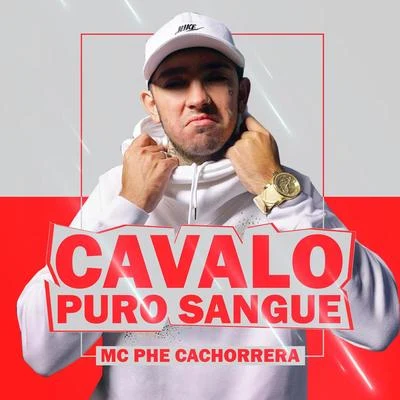 Mc Phe Cachorrera Cavalo Puro Sangue