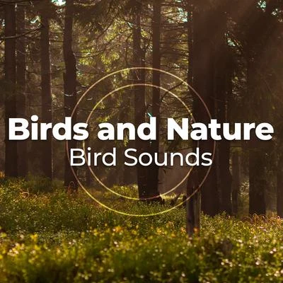 Bird Sounds Birds and Nature