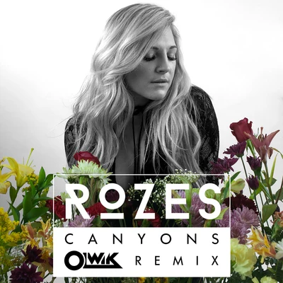 ROZES/OLWIK Canyons (OLWIK Remix)