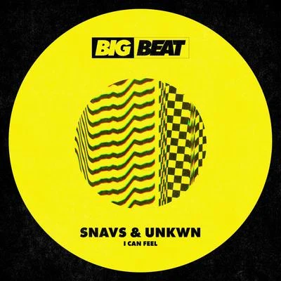 Snavs/UNKWN I Can Feel