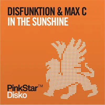 Disfunktion In the Sunshine