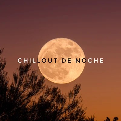 Academia de Música para la Fiesta en la Playa Chillout de Noche - Música para la Relajación, el Descanso, la Tranquilidad y el Alivio del Estrés