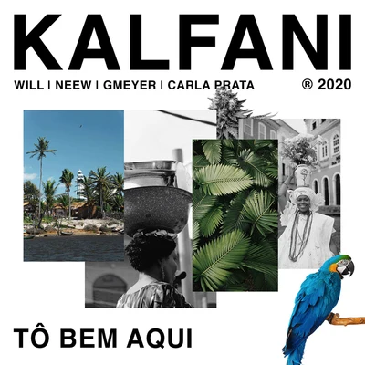 DJ Kalfani TÔ BEM AQUI (feat. Neew, GMeyer, Carla Prata & DJ Will)